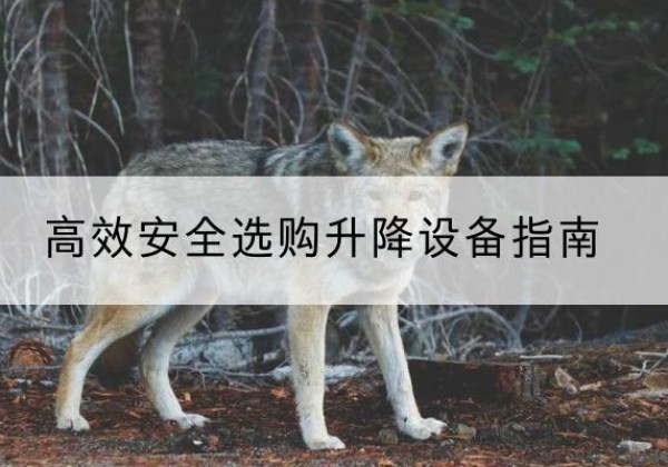 淳安升降货梯厂家推荐-*安全选购升降设备指南