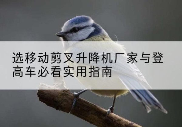 淳安电动升降机厂家-选移动剪叉升降机厂家与登高车必看实用指南