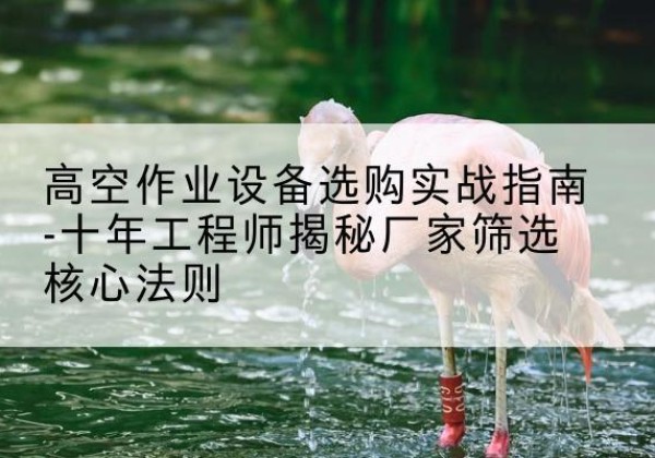 淳安剪叉式升降机厂家-高空作业设备选购实战指南-十年工程师揭秘厂家筛选核心法则